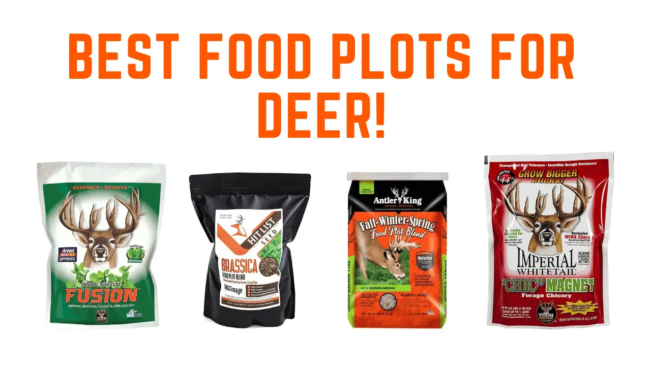 The Best Food Plot for Deer in 2023- A Complete Buyer’s Guide