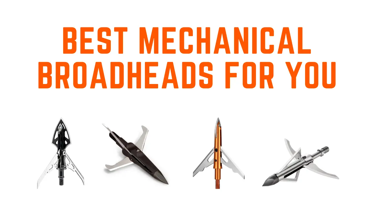 Best Mechanical Broadheads for Deer In 2023