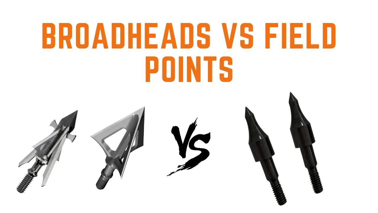 Broadheads vs field points
