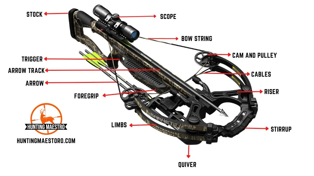 Parts of a crossbow