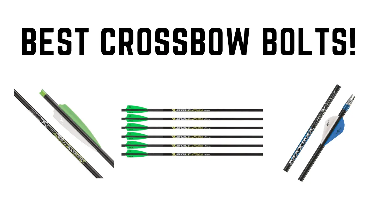 Best Crossbow Bolts for 2023 