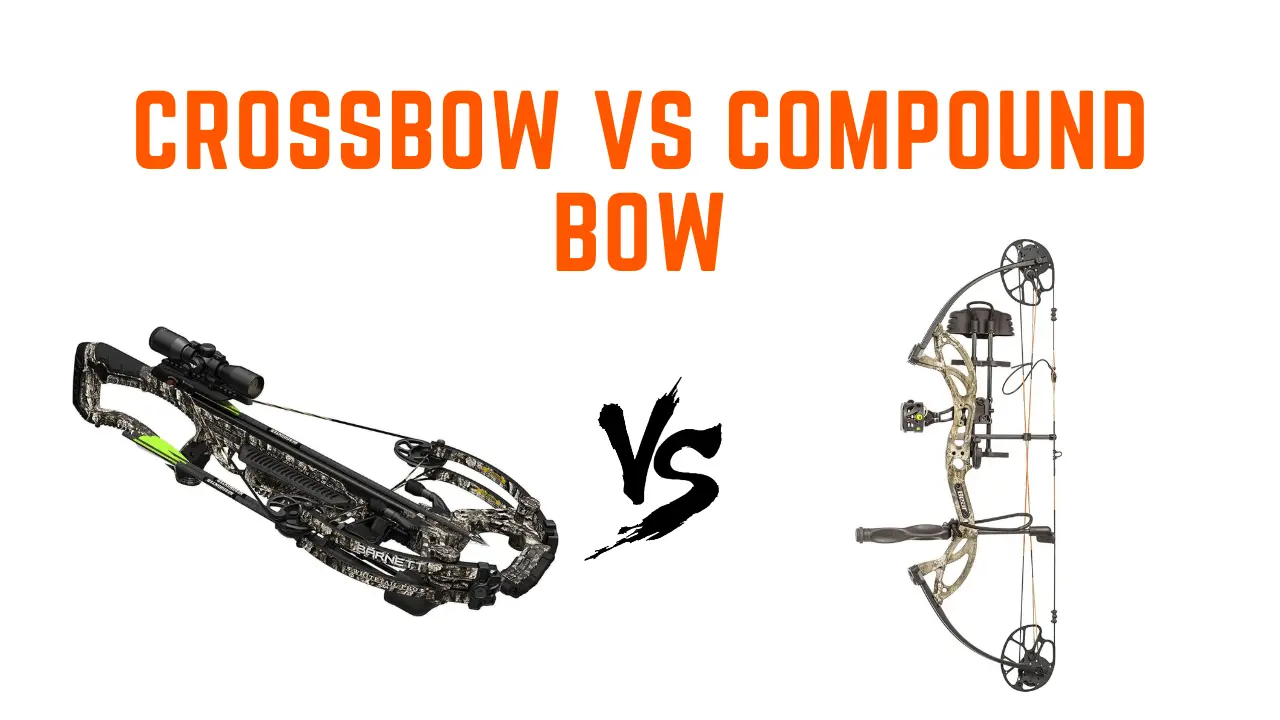 Crossbow vs Compound Bows: Which is Best and Why?