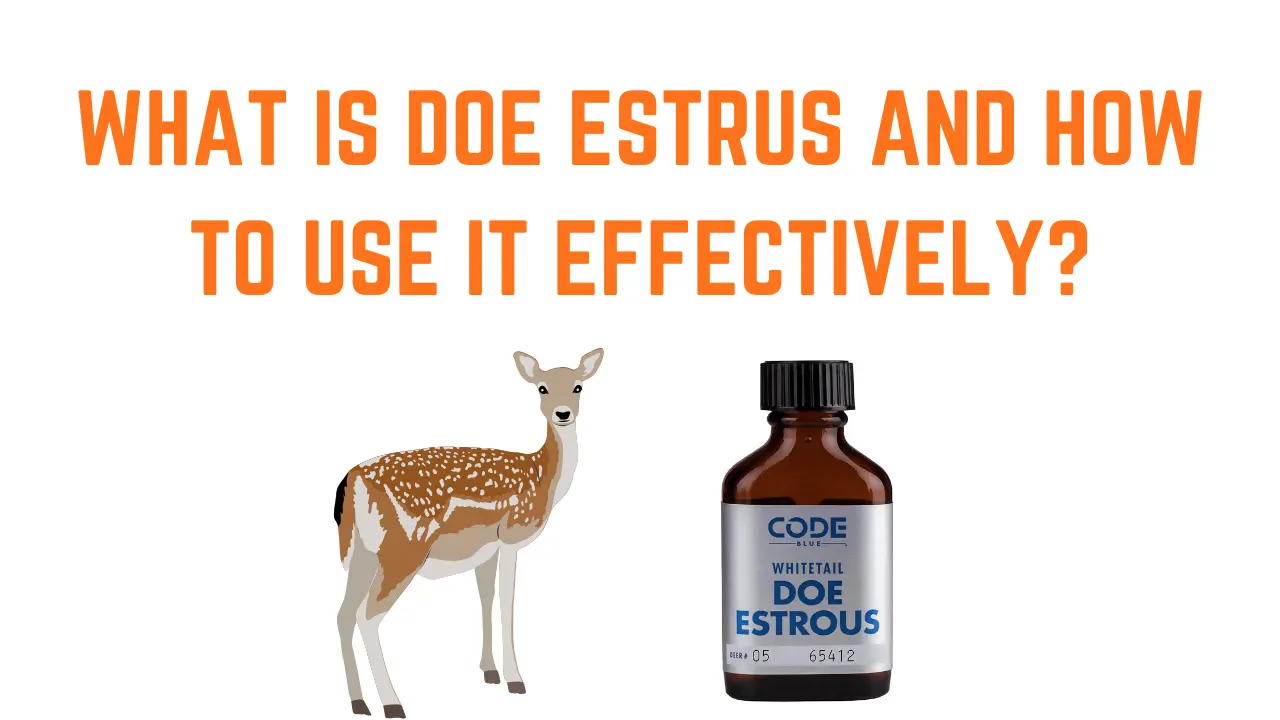 How to Use Doe Estrous Scent the Right Way – Complete Guide