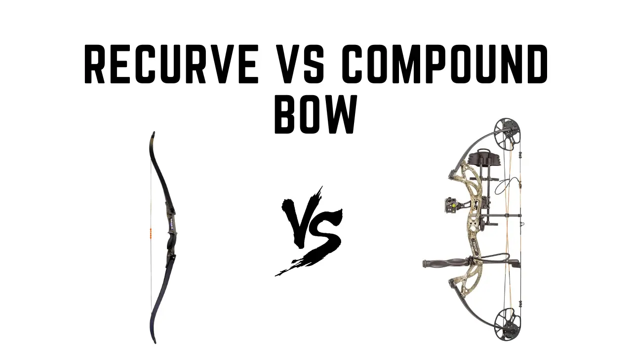 Recurve vs Compound Bow